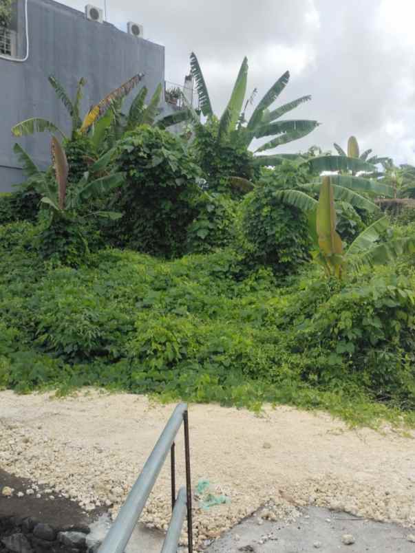 dijual tanah kayu tulang utara