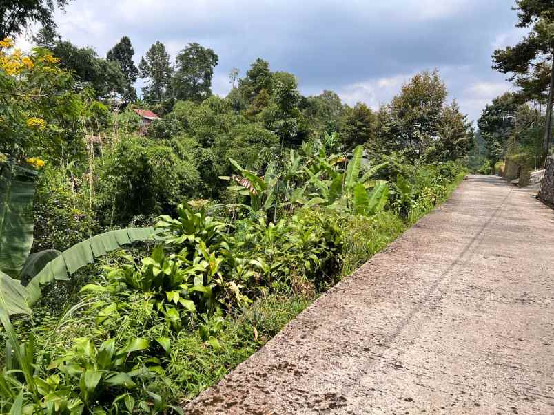 dijual tanah kemuning ngargoyoso