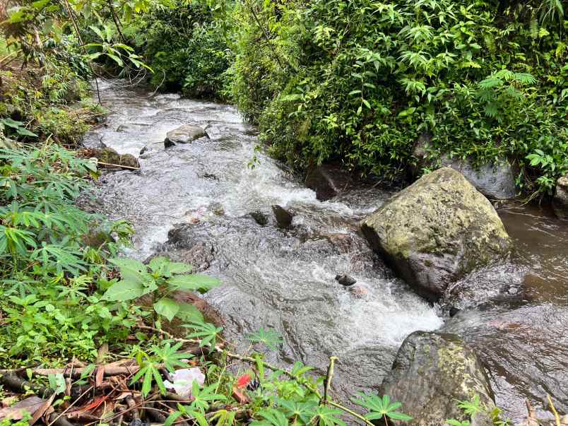 dijual tanah kemuning ngargoyoso