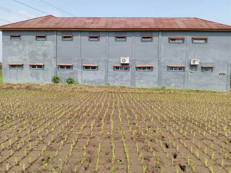 dijual tanah kertamulya