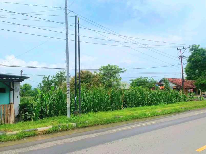 dijual tanah labuhan badas sumbawa