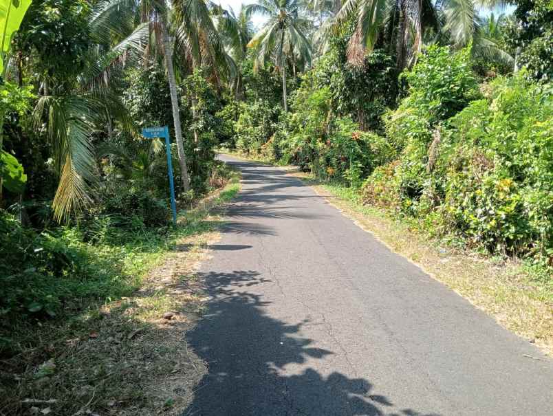 dijual tanah lalanglinggah selemadeg