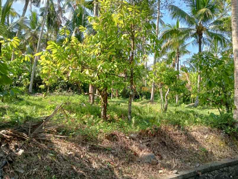 dijual tanah lalanglinggah selemadeg