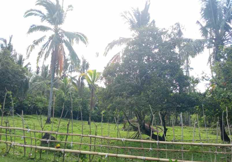 dijual tanah los sungai view natural super sejuk