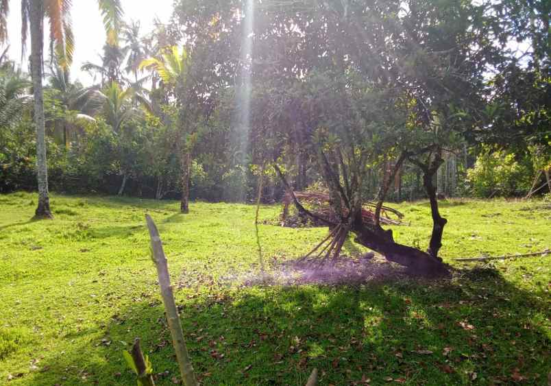 dijual tanah los sungai view natural super sejuk