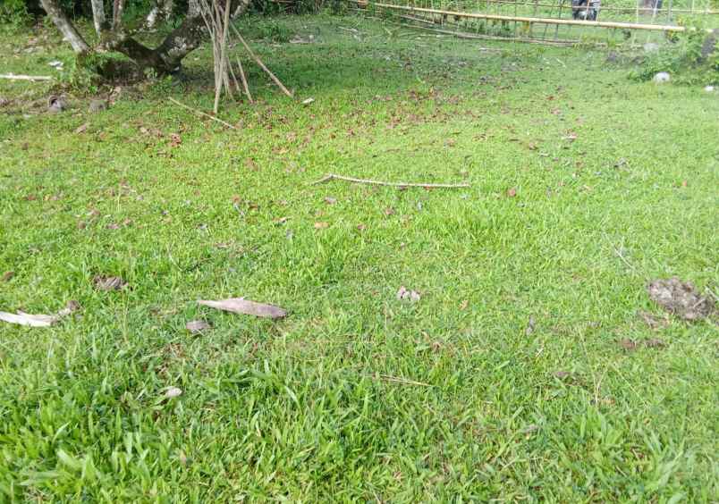 dijual tanah los sungai view natural super sejuk