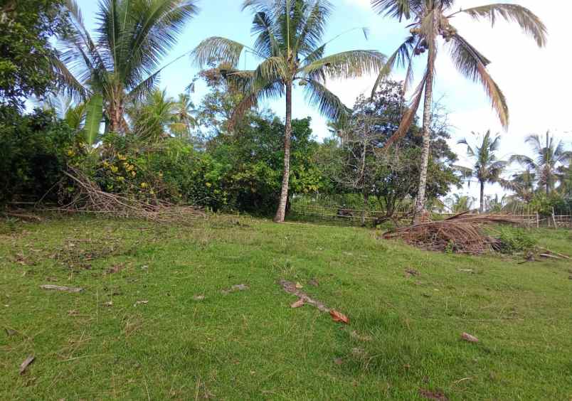 dijual tanah los sungai view natural super sejuk