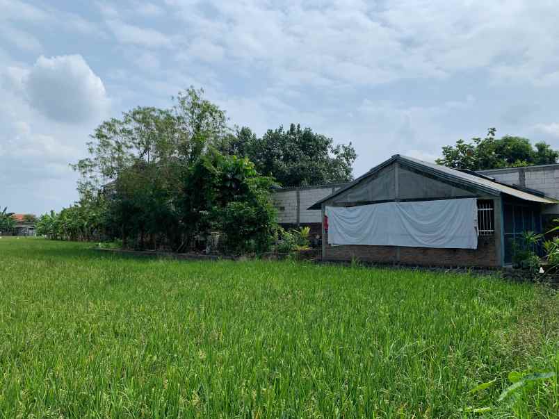 dijual tanah luas lokasi strategis dekat kampus isi