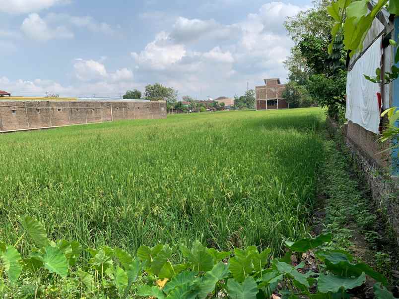 dijual tanah luas lokasi strategis dekat kampus isi