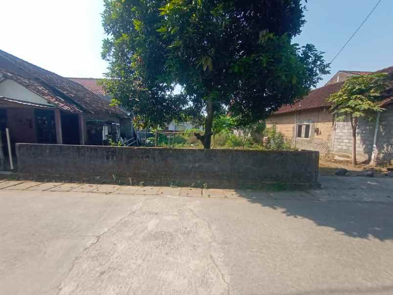 dijual tanah mlati