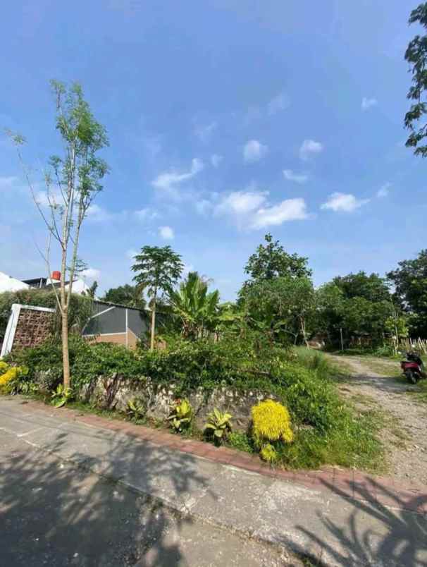 dijual tanah mlati