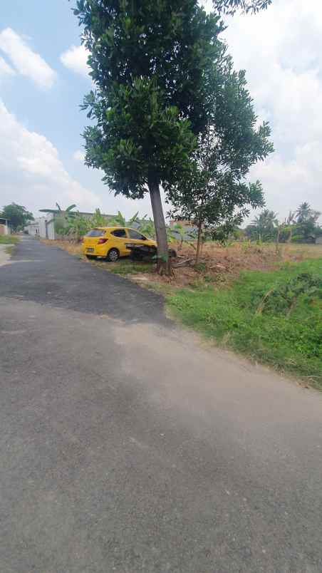 dijual tanah murah bandar lampung rajabasa jaya