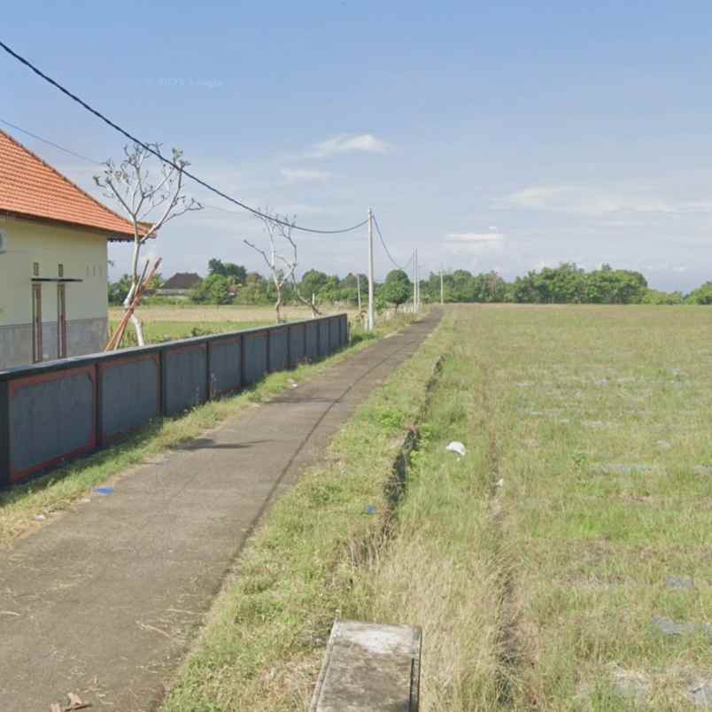 dijual tanah negara