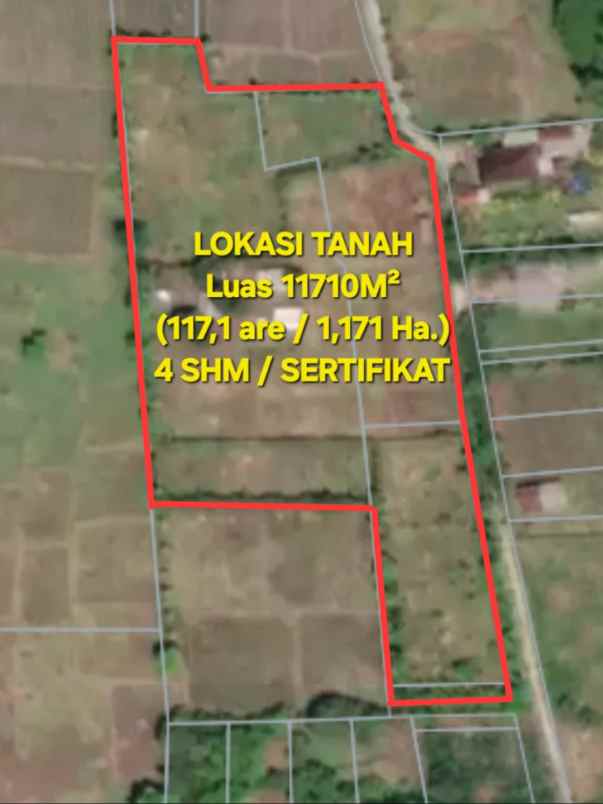 dijual tanah negara