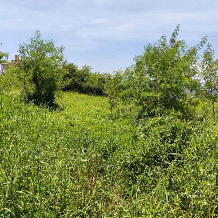 dijual tanah nyitdah