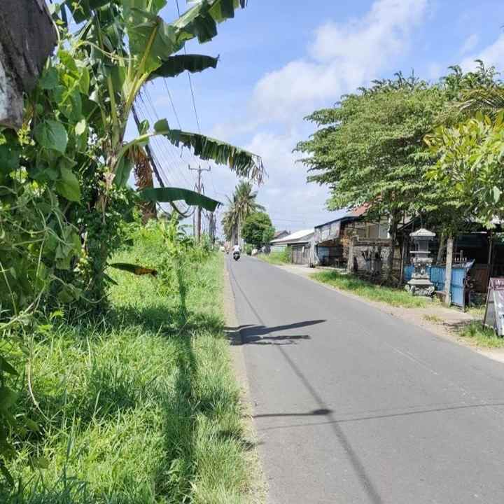 dijual tanah nyitdah