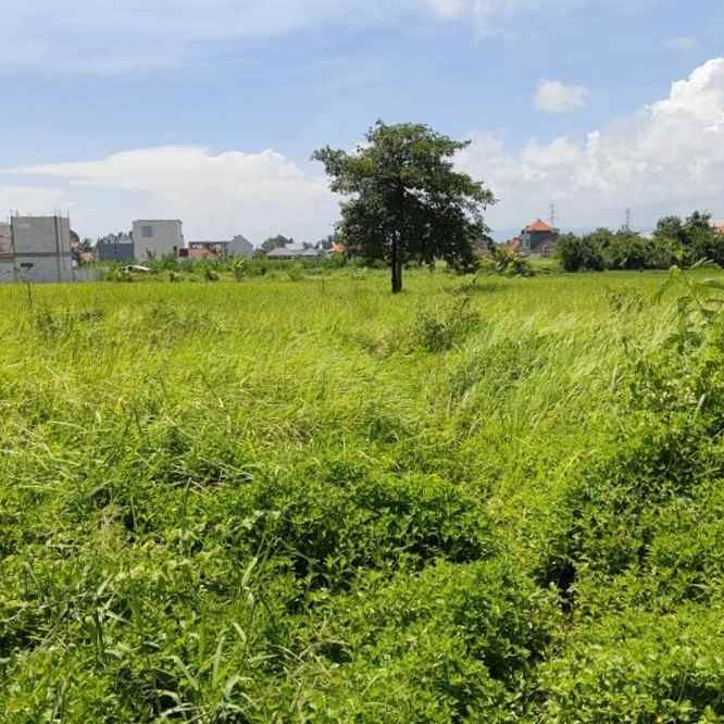 dijual tanah nyitdah