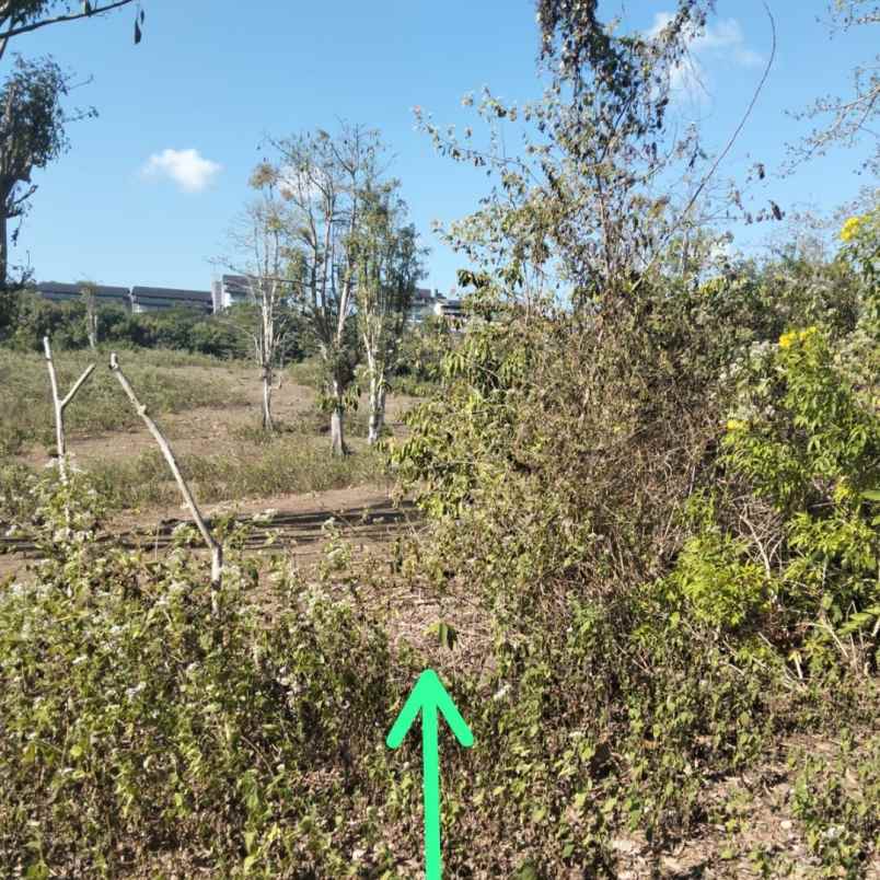 dijual tanah pantai batu layah balangan