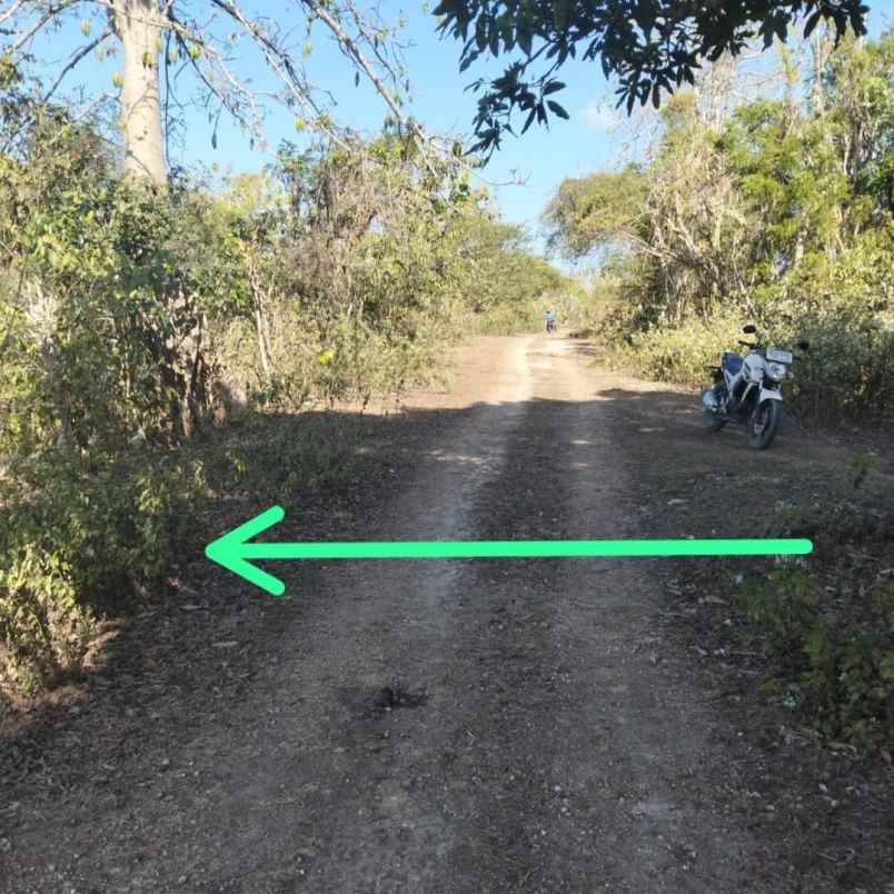 dijual tanah pantai batu layah balangan