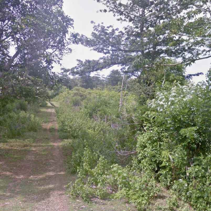 dijual tanah pantai batu layah balangan