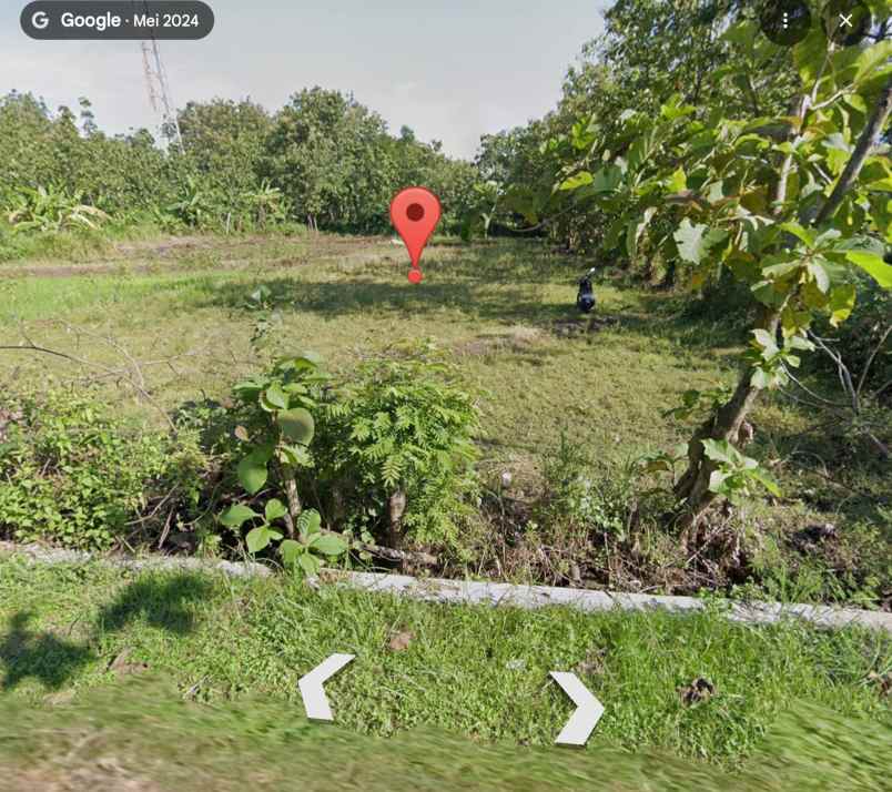 dijual tanah pekarangan murah