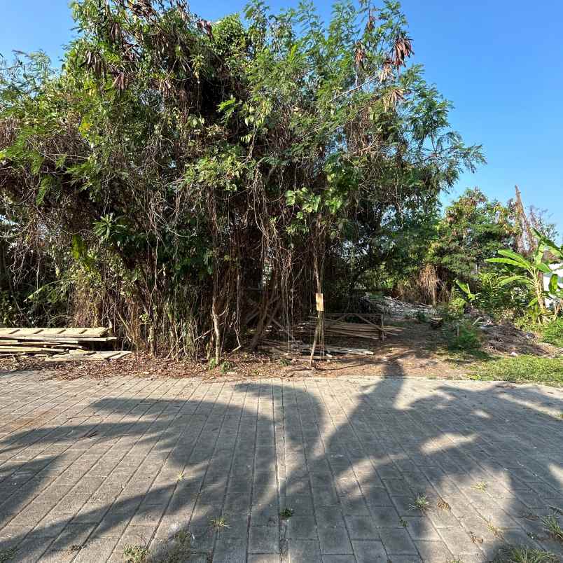 dijual tanah perum puri ayodya