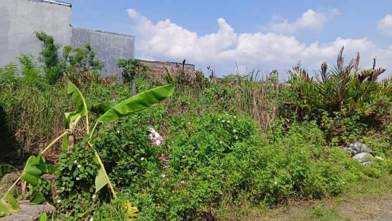 dijual tanah perumahan pesona asri