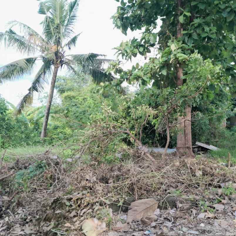 dijual tanah raya tangeb