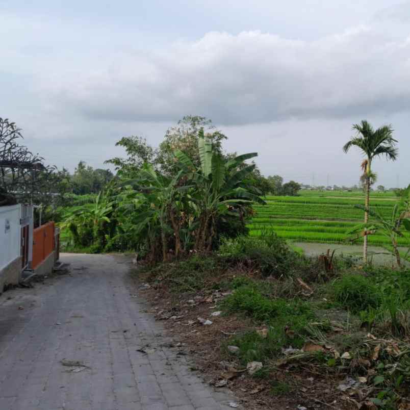 dijual tanah raya tangeb