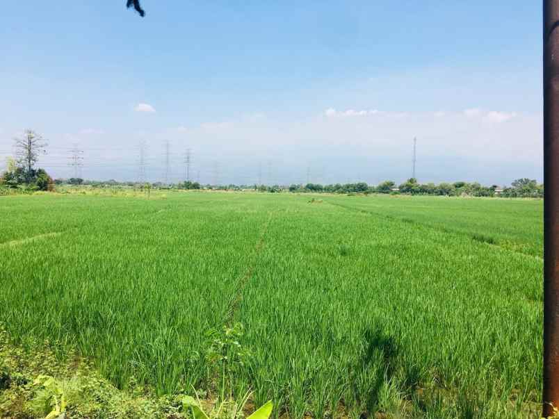 dijual tanah rp 4 milyard di jalan raya grati pasuruan