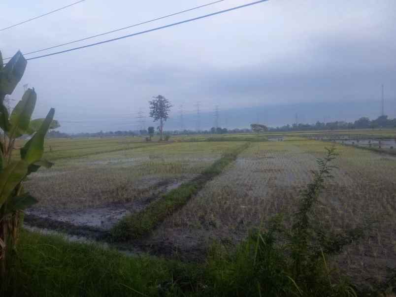 dijual tanah rp 4 milyard di jalan raya grati pasuruan