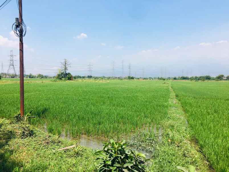 dijual tanah rp 4 milyard di jalan raya grati pasuruan