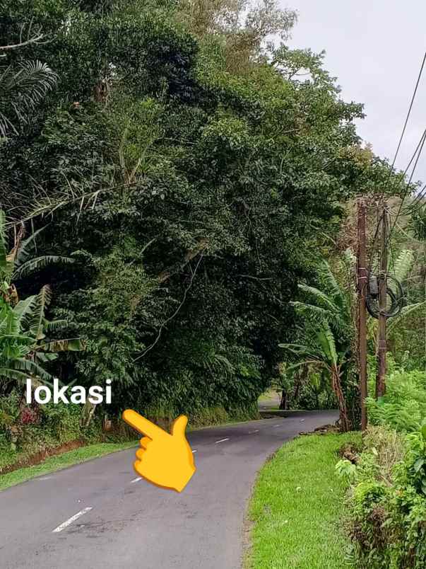 dijual tanah sanda pupuan tabanan