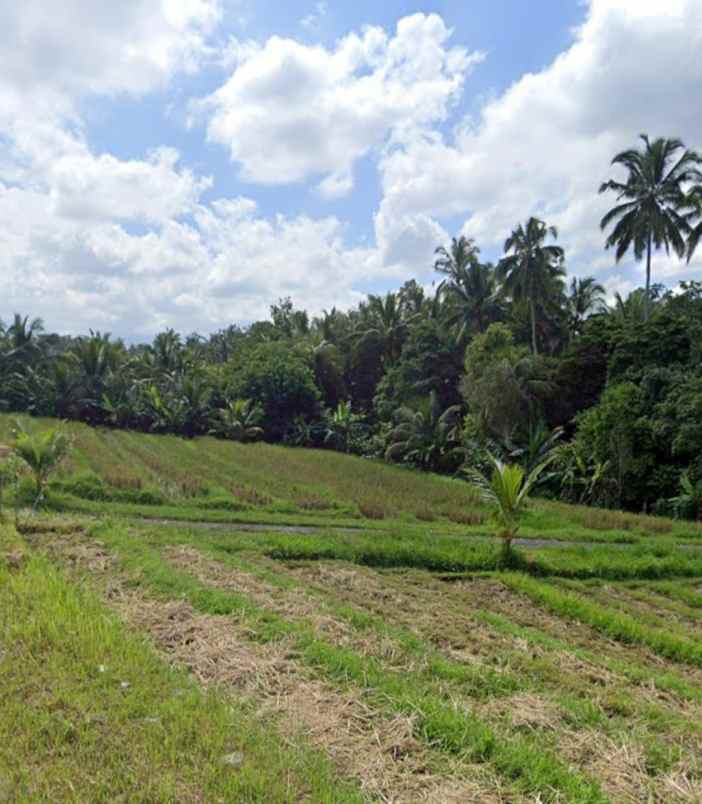 dijual tanah sawah murah dengan view gunung