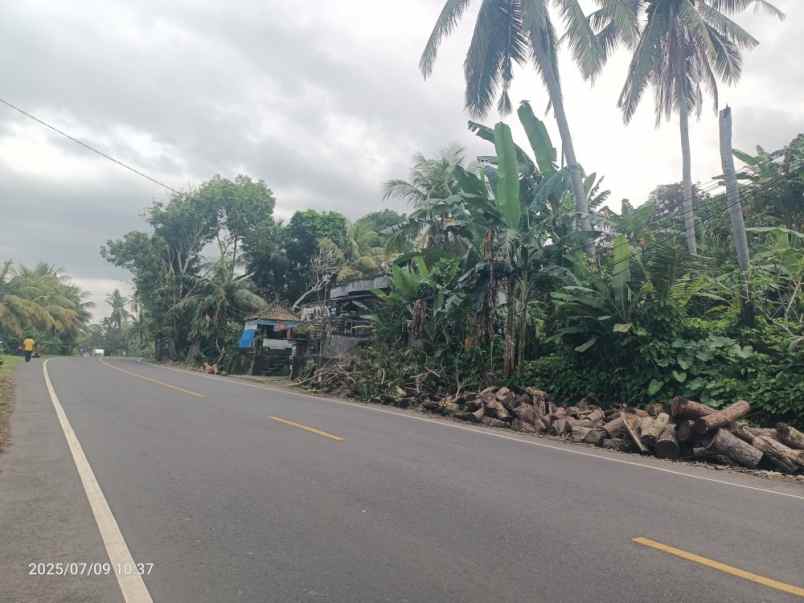 dijual tanah selabih tabanan bali