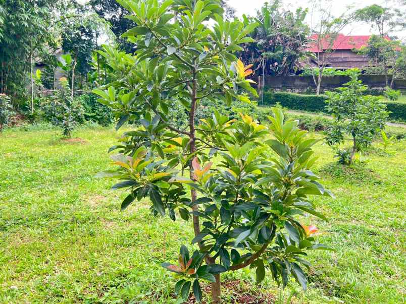 dijual tanah selatan kantor kecamatan