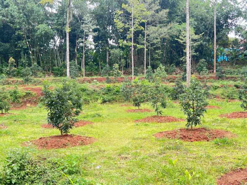 dijual tanah selatan kantor kecamatan