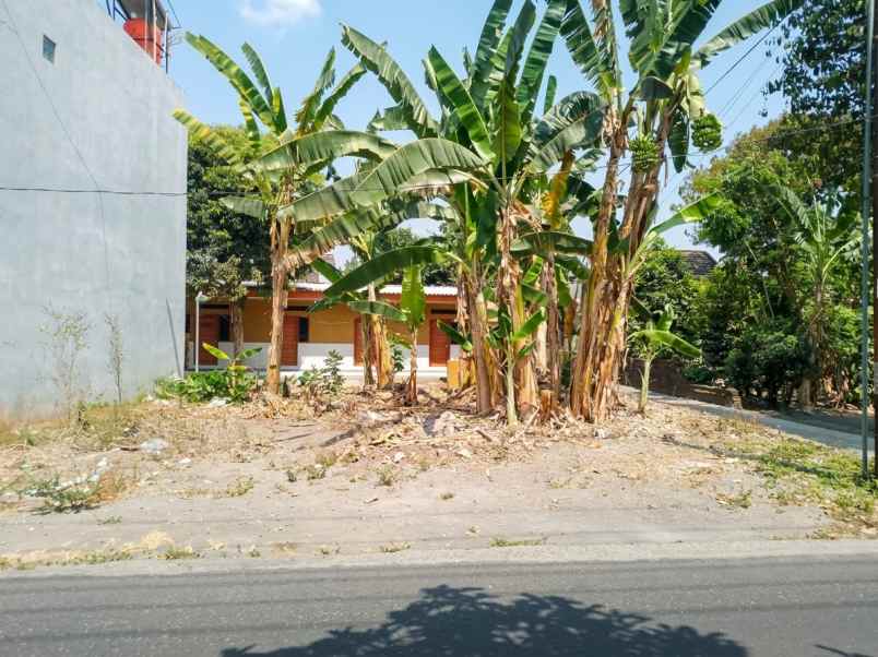 dijual tanah sewon