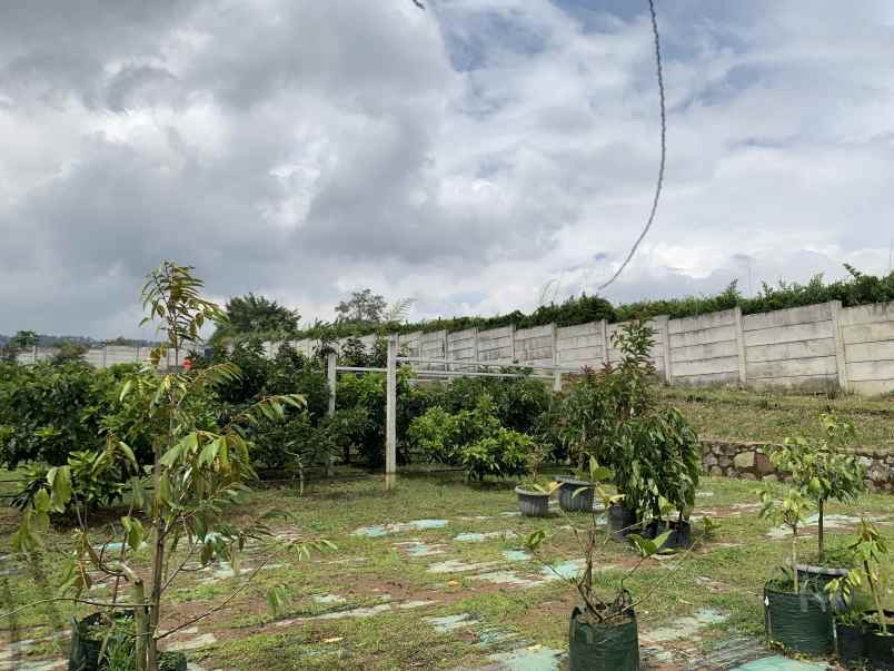dijual tanah strategis kebun jl mekarwangi sariwangi