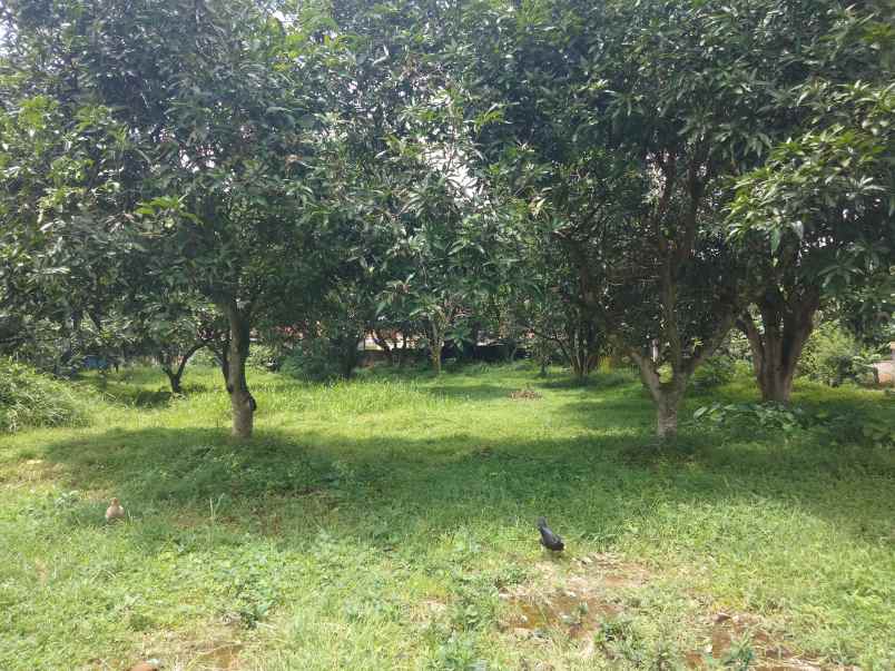 dijual tanah strategis pinggir jalan di kec beber