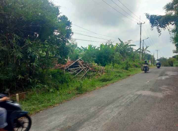 dijual tanah strategis pinggir jalan kabupaten