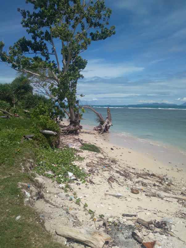 dijual tanah suak lampung selatan