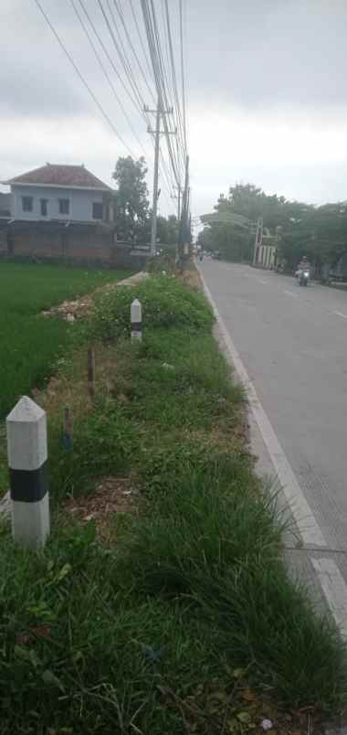 dijual tanah tegalsari cuplik sukoharjo