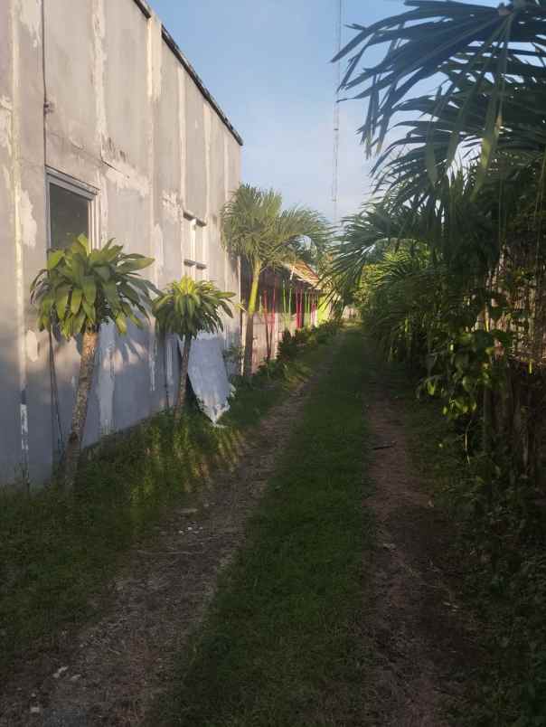 dijual tanah tirtomartani kalasan