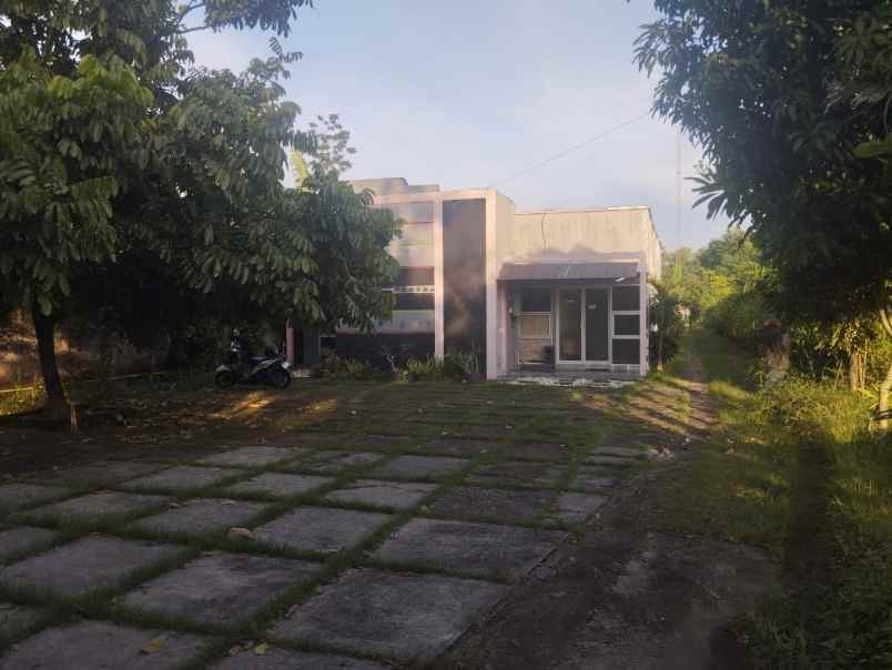 dijual tanah tirtomartani kalasan