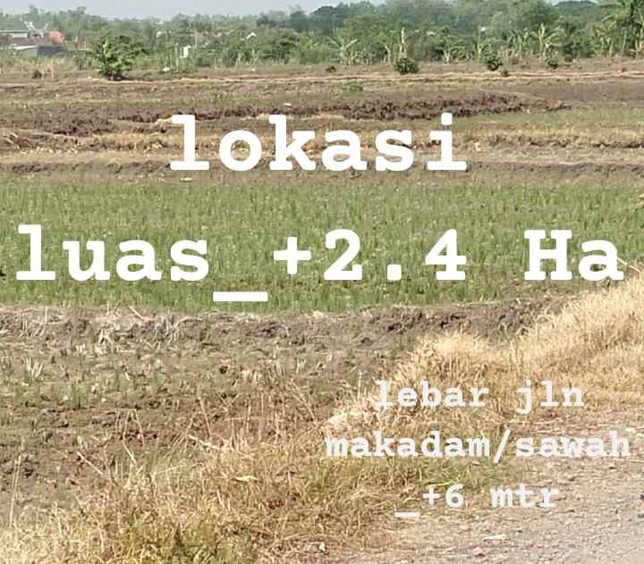 dijual tanah untuk investasi dan perumahan