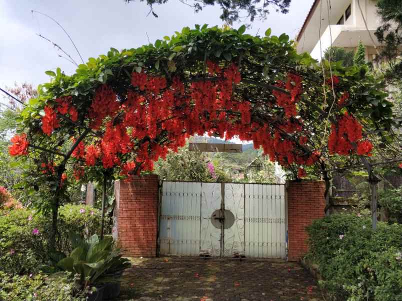 dijual villa di jln ciloto puncak