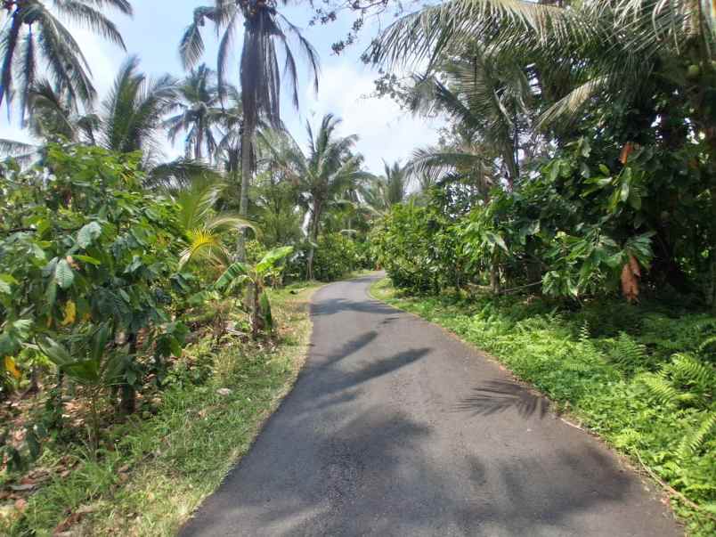 disewakan tanah desa angkah selemadeg