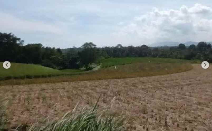 disewakan tanah di dekat pantai kelating