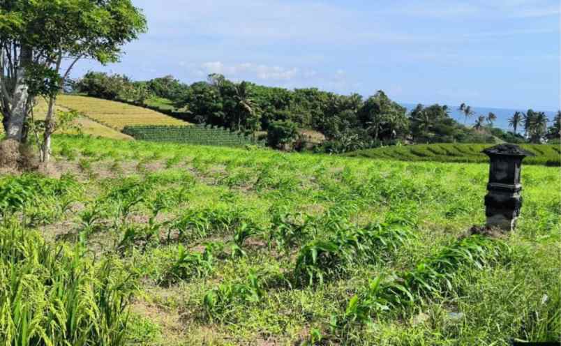disewakan tanah di dekat pantai kelating